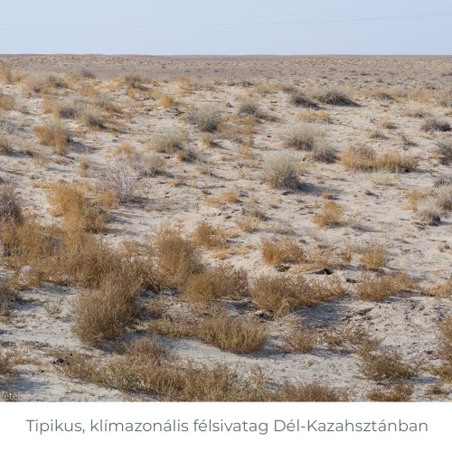 klimazonalis_felsivatag