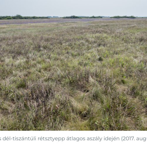 tiszantuli_retsztyepp